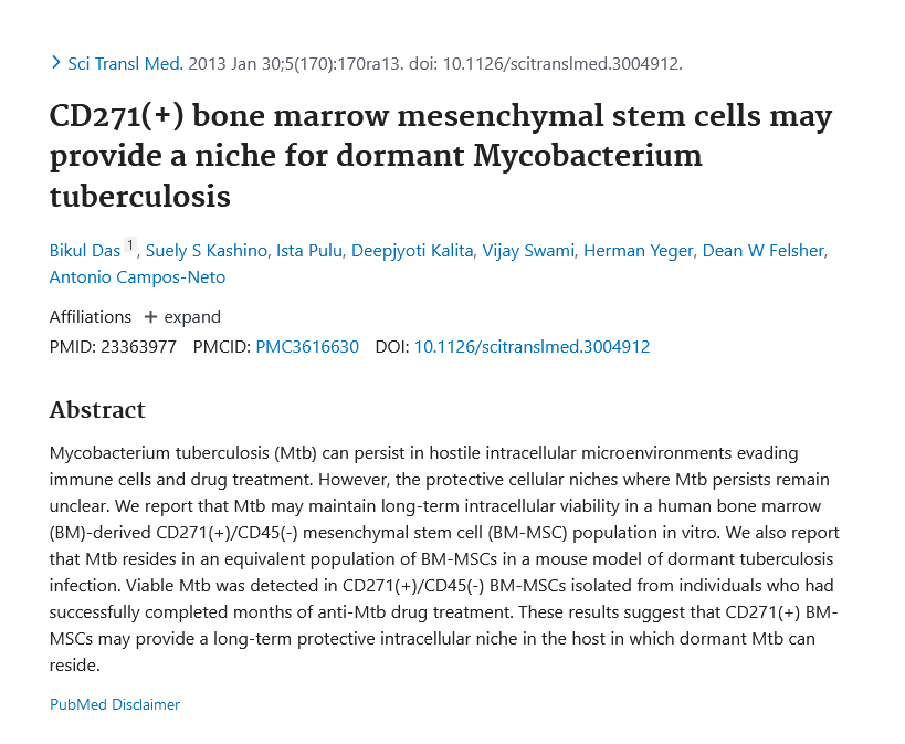 Image of CD271+ bone marrow mesenchymal stem cells provide a protective niche for dormant Mycobacterium Tuberculosis