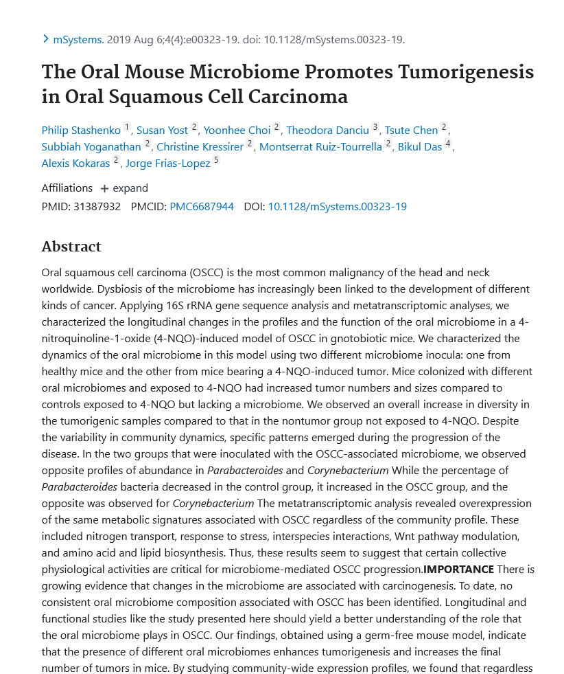 Image of The oral mouse microbiome promotes tumorigenesis in oral squamous cell carcinoma