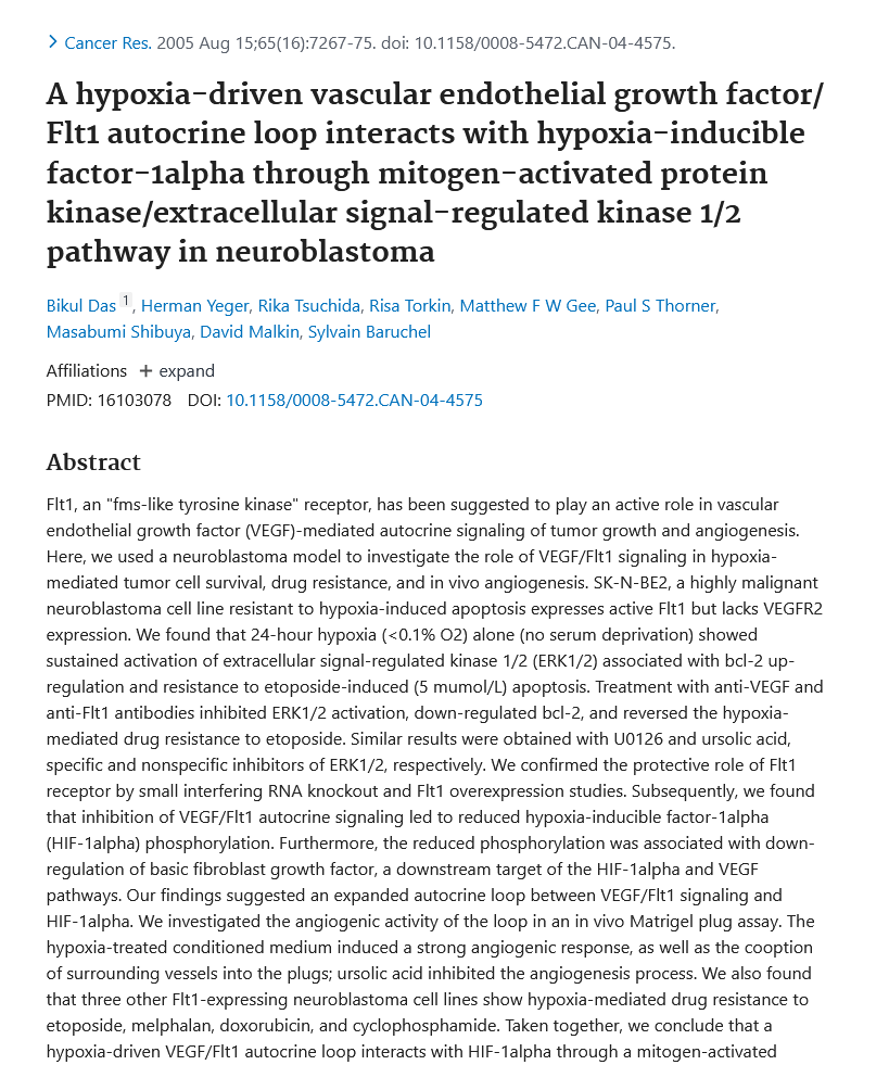 Image of A hypoxia-driven vascular endothelial growth factor/Flt1 autocrine loop interacts with hypoxia-inducible factor-1alpha through mitogen-activate protein kinase/extracellular signal-regulated kinase 1/2 pathway in neuroblastoma